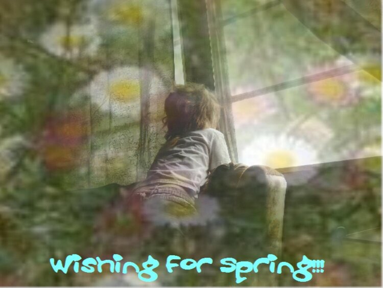 Wishing for spring