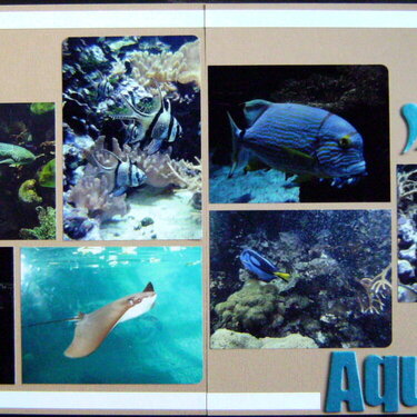 Columbus Zoo Aquarium