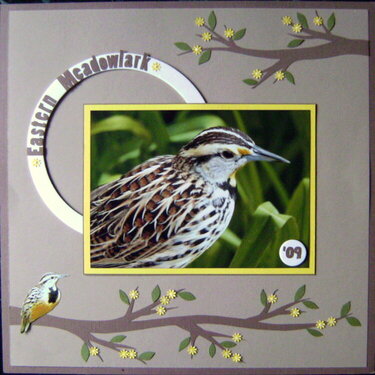 Eastern Meadowlark