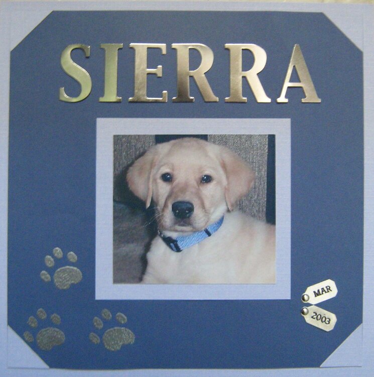 Sierra - Puppy