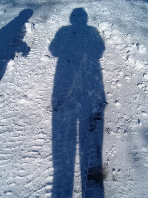 Shadow of Me