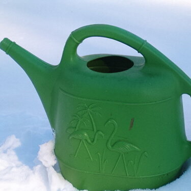# 20 A Watering Can {7 pts}