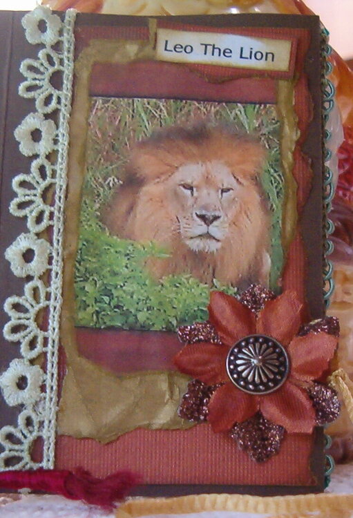 ATC cover for #12, Leo, RESERVED FOR DISNEYLISA