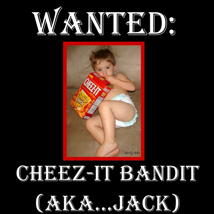 WANTED: CHEEZ-IT BANDIT (AKA...JACK)