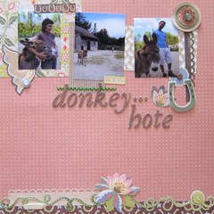 donkey-hote