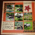 Disney World -Safari