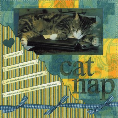 Cat Nap