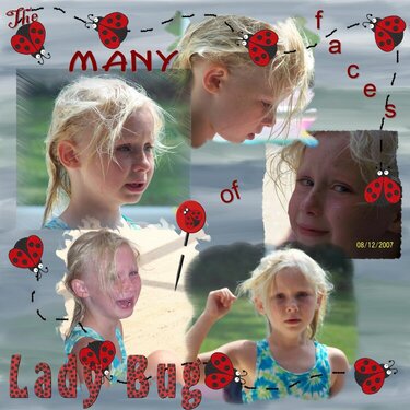 The Many Faces of Lady Bug