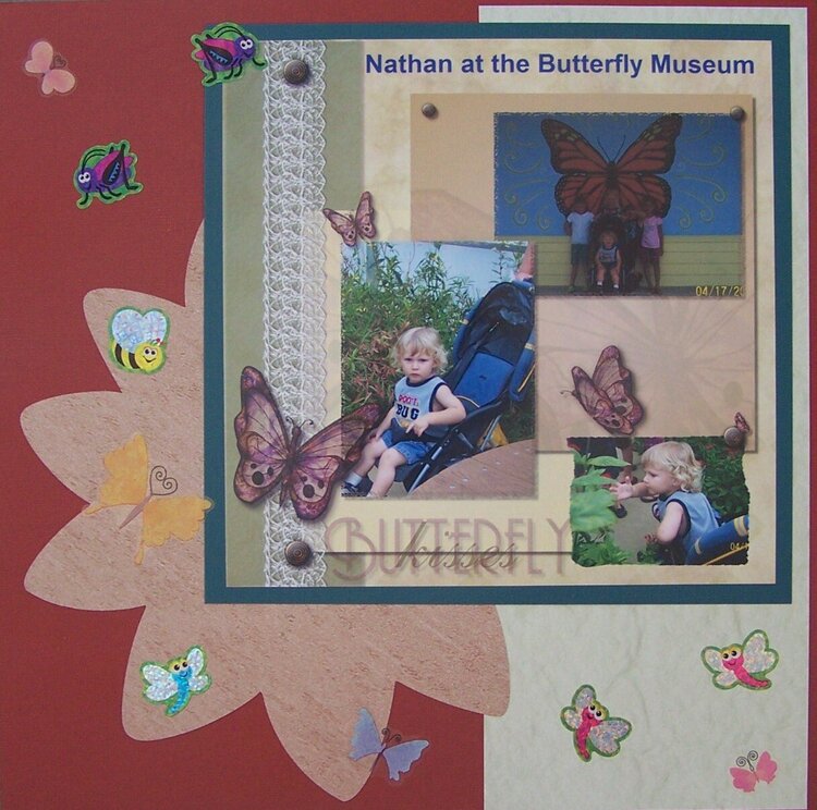 Nathan at the Butterfly Museum