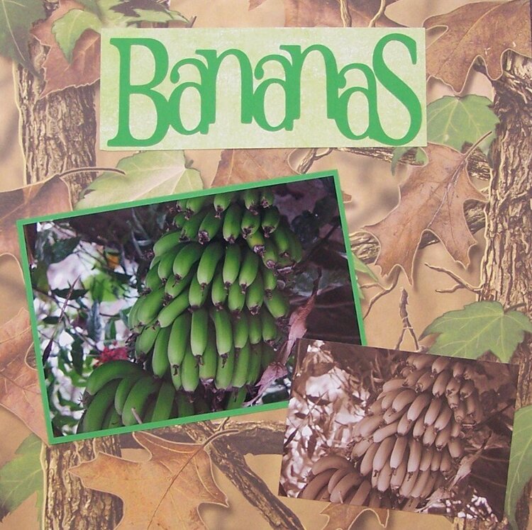 Bananas