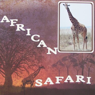 African Safari