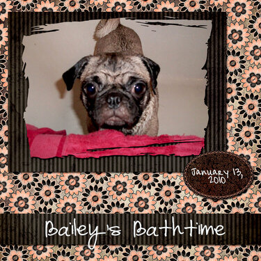 Bailey&#039;s Bathtime