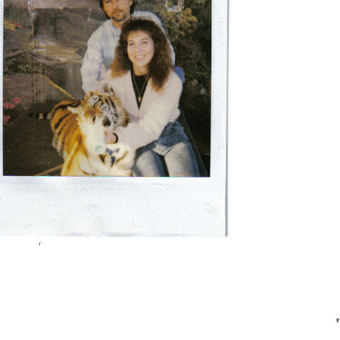 Me, My Husband and the Tiger