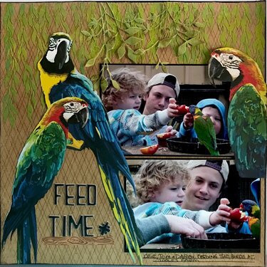 Feed Time