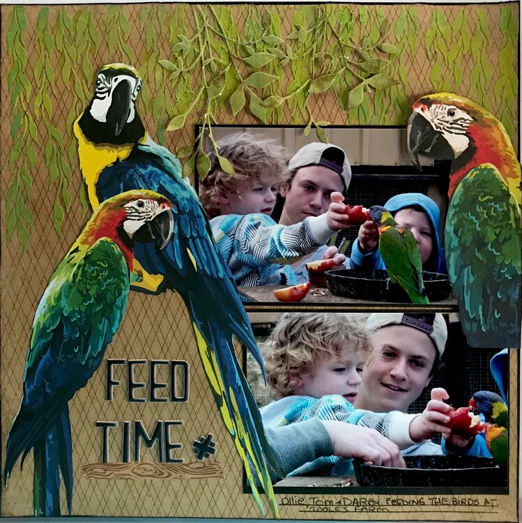 Feed Time