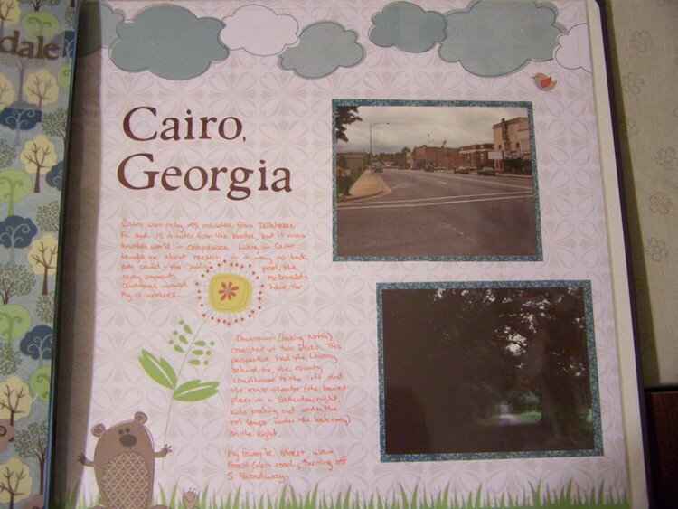 Cairo, GA Feb 2010