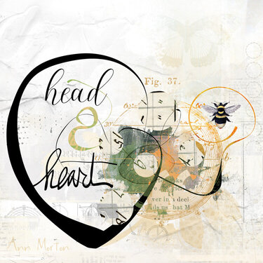 Head and Heart