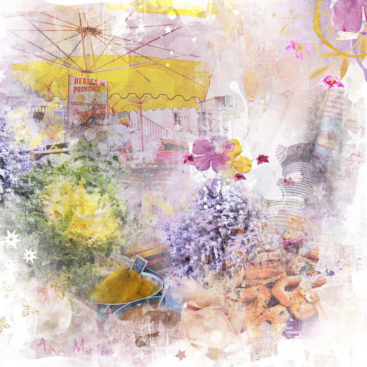 Provence Markets