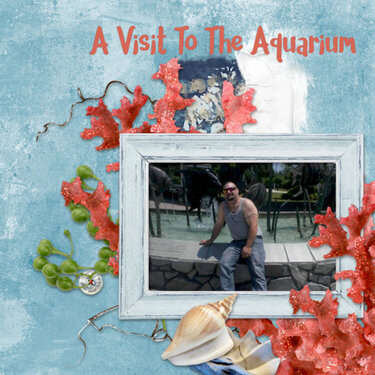 A Visit To The Aquarium