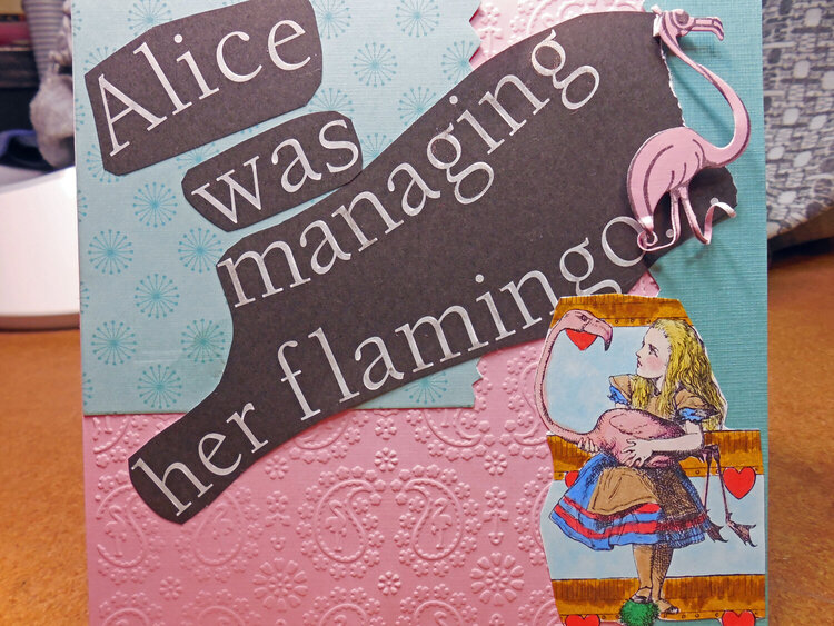 Alice and Flamingo