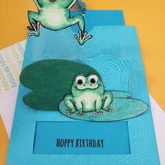 Frog Slider Card