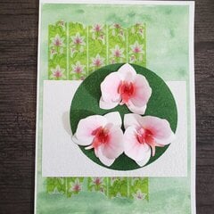 Orchid Card