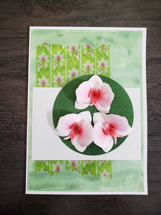 Orchid Card