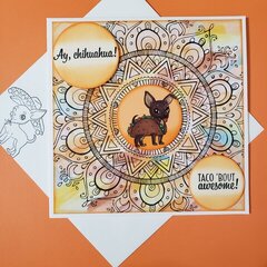 Chihuahua Card