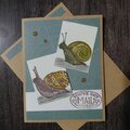 Snail Mail Card