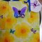 Butterfly Shaker Card/Gift bag