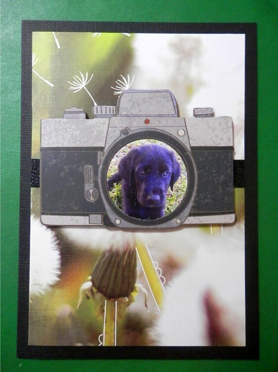 Camera Card