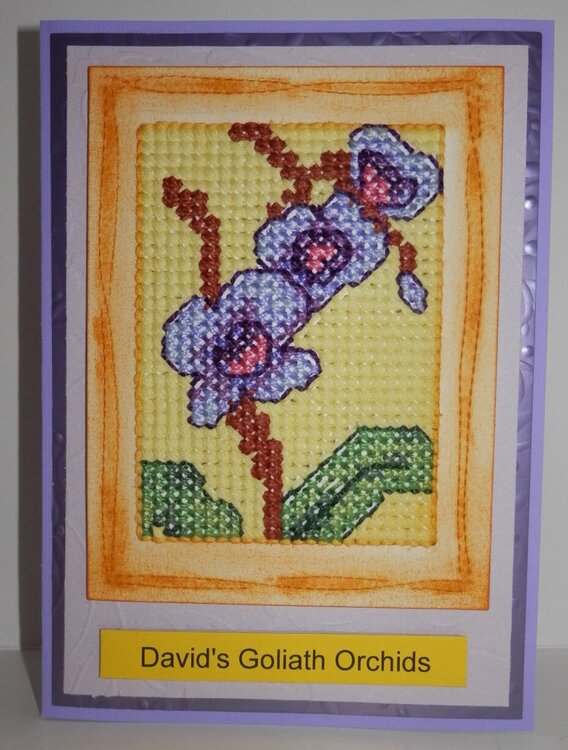 Orchid Cross Stitched Card