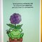 Peeking Frog Birthday Card - inside