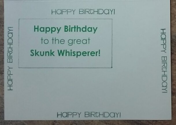 Skunk Slider Card