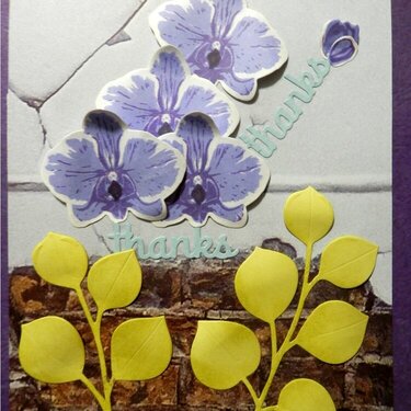 Orchid Thank You Card