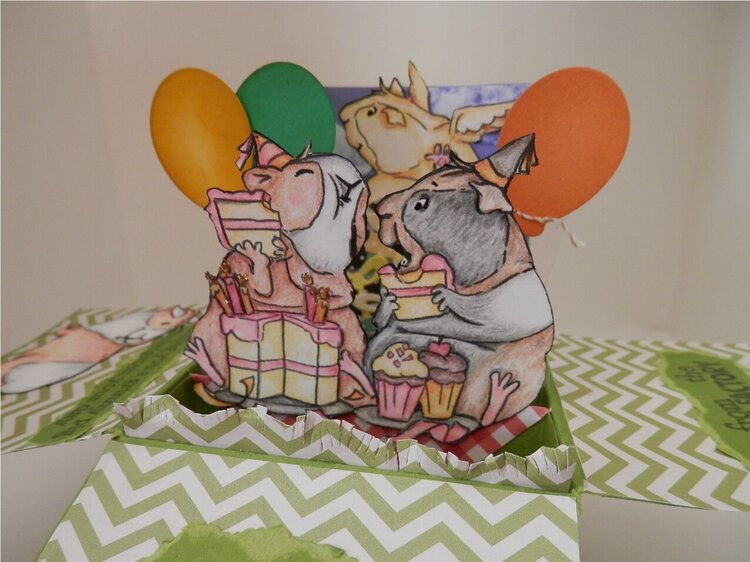 Guinea Pig Birthday Card