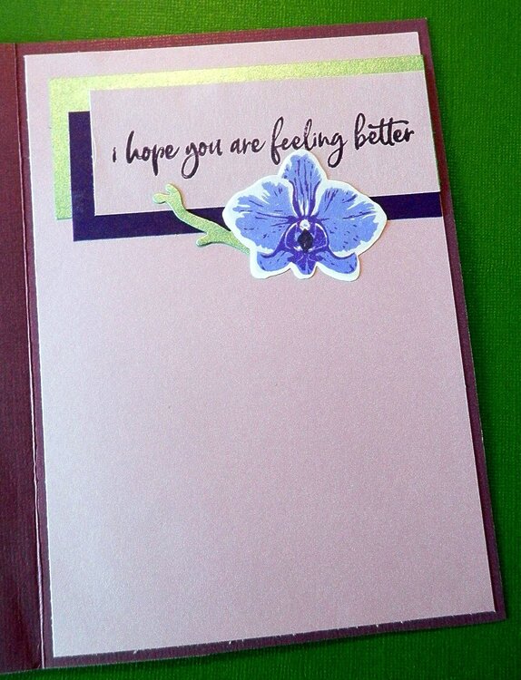 Get Well Orchids - Inside of card