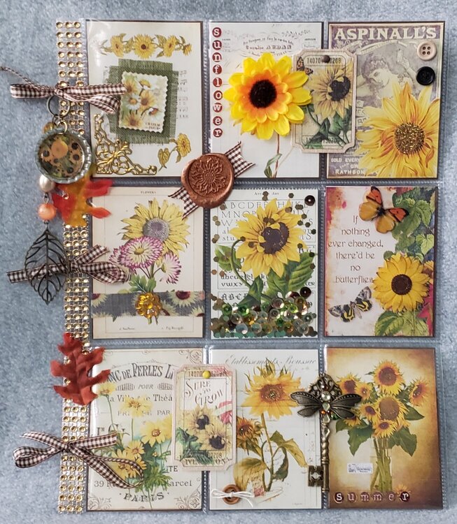 Aug &#039;20 sunflower PL for Suzanne in the PL swap