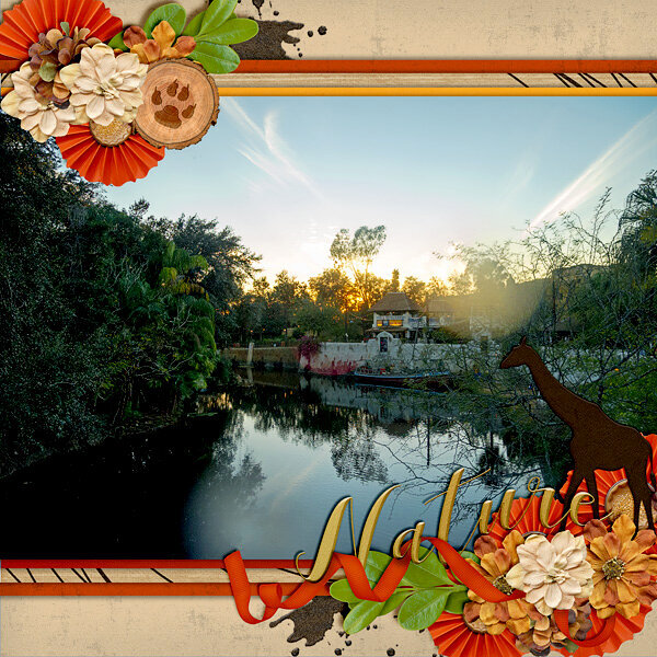 Sunset Over Animal Kingdom