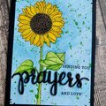 Sunflower Prayers