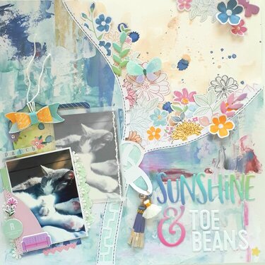 Sunshine &amp; Toe Beans