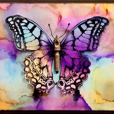 Butterfly on Glossy Paper