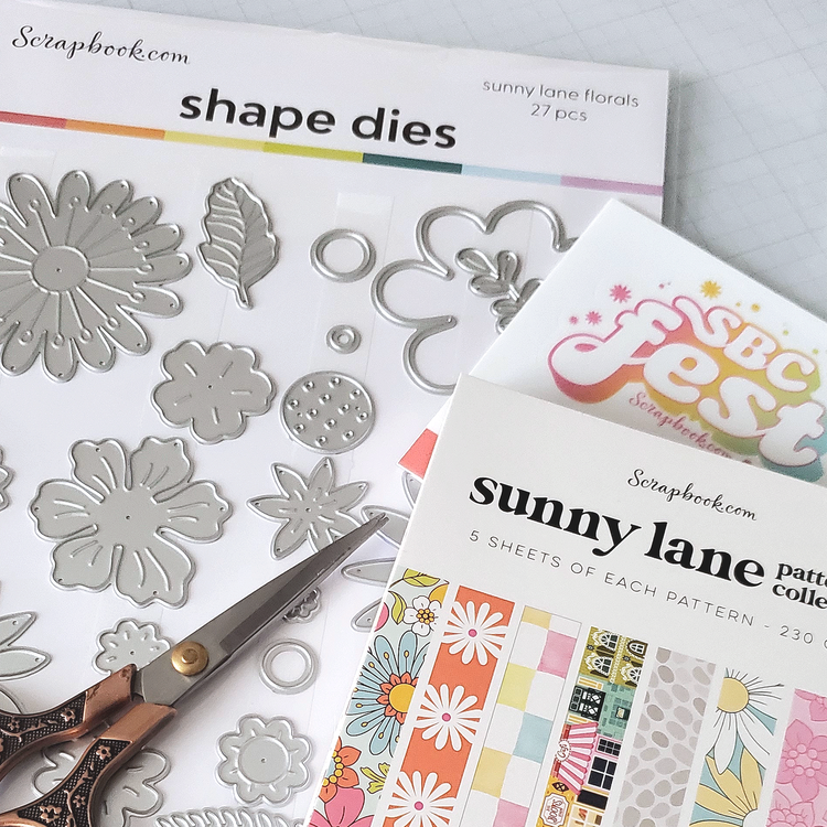 Prepping for SBC Fest Project Idea