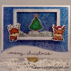 Reindeer Fun Shaker Card