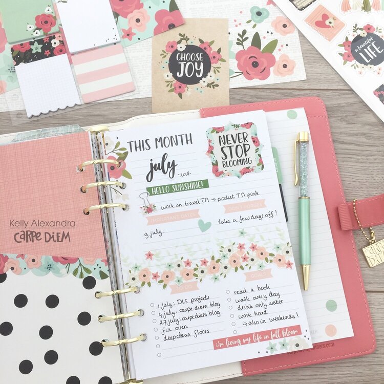 Bloom planner setup