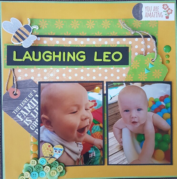 Laughing leo