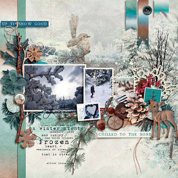 Winter Woodland by A Whimsical Adventure