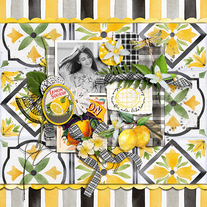Lemon Drops Bundle by Paula Kesselring