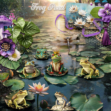  Spirit Animals: Spirit of the Frog by Rainbow of Greys Designs