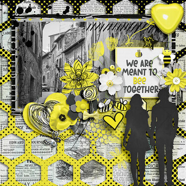 We are meant to bee together